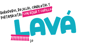 LAVÁ  bebederos,rejillas,canaletas y portamacetas con agua y cepillo